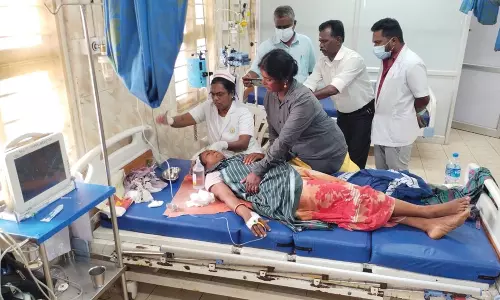 வால்பாறையில் இன்று காலை தேயிலை தோட்ட  பெண் தொழிலாளர்களை  தாக்கிய கரடிகள்