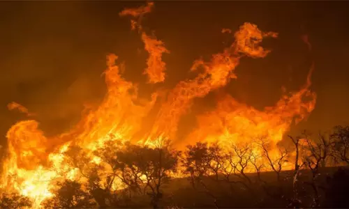 மேட்டூர் காவிரி கரையோரத்தில் பரவிய தீயால் பரபரப்பு