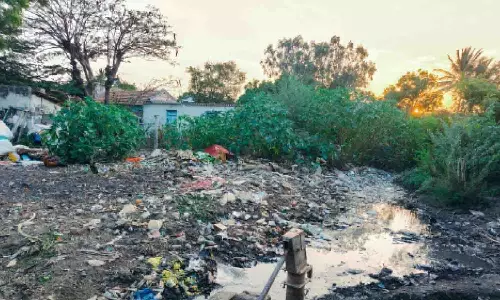 பல்லடம், அண்ணா நகர் பகுதியில் தேங்கும் கழிவு நீரால் சுகாதார சீர்கேடு   அபாயம்