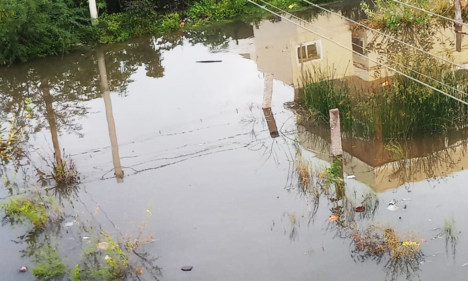 திண்டுக்கல் அருகே தேங்கும் கழிவுநீரால் தொற்றுநோய் பரவும் அபாயம்