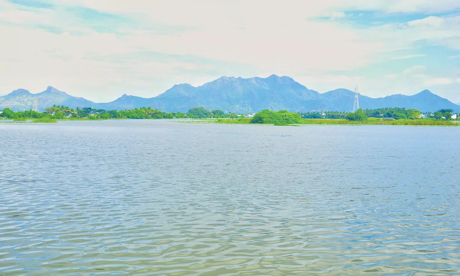 பேச்சிப்பாறையில் 47.4 மில்லி மீட்டர் பதிவு தொடர் மழைக்கு  1000 குளங்கள் நிரம்பியது குடியிருப்பு-வயல்வெளிகளை சூழ்ந்த வெள்ளம் வடிய தொடங்கியது