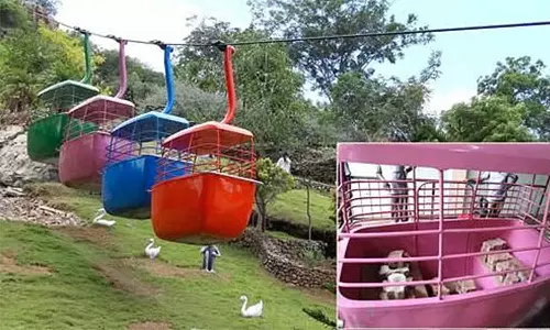 50 நாட்கள் பராமரிப்பு பணி முடிந்தது: பழனியில் இன்று ரோப்கார் சோதனை ஓட்டம்