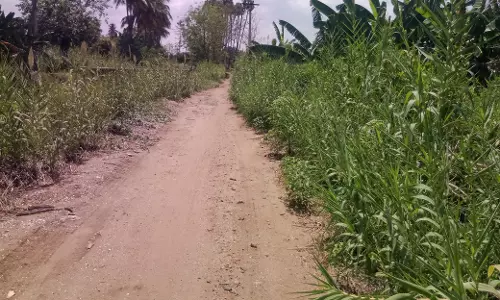 நாணல் , செடி கொடிகளை அகற்ற விவசாயிகள் கோரிக்கை