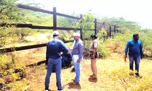 மதுக்கரை-எட்டிமடை இடையே 3½ கிலோ மீட்டருக்கு இரும்பு தடுப்புகள்