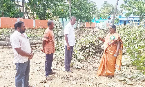 ஆலங்காயம் அரசு பள்ளியில் 14 தேக்கு மரங்கள் வெட்டி கடத்தல்