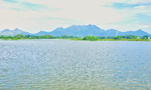 பேச்சிப்பாறையில் 47.4 மில்லி மீட்டர் பதிவு தொடர் மழைக்கு  1000 குளங்கள் நிரம்பியது குடியிருப்பு-வயல்வெளிகளை சூழ்ந்த வெள்ளம் வடிய தொடங்கியது