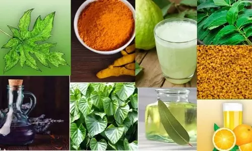 டெங்கு காய்ச்சலை தடுக்கும் ஆயுர்வேத மருத்துவ முறை