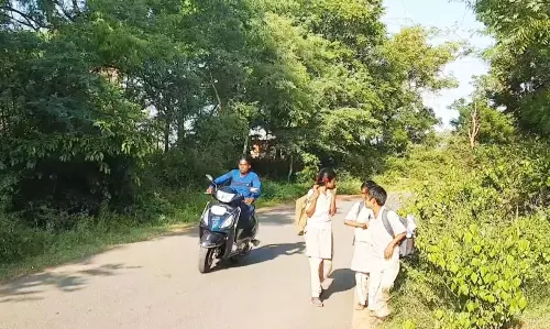 சாலையின் இருபுறங்களிலும் முட்புதர்களால் அடிக்கடி விபத்துக்கள்