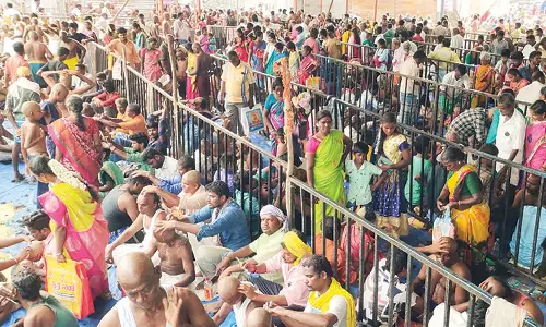 இன்று 3-வது புரட்டாசி சனிக்கிழமை: திருவந்திபுரம் தேவநாதசாமி கோவிலில் குவிந்த பக்தர்கள்