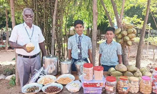 செந்துறை அருகே பள்ளி மாணவர்களின்  வணிக திருவிழா