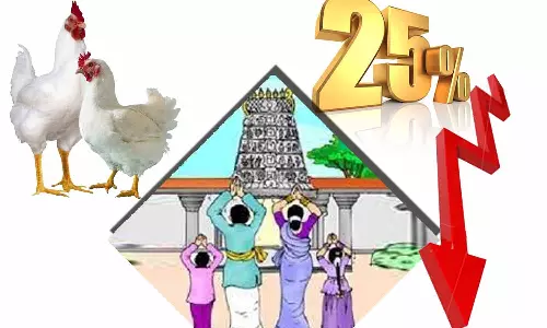 புரட்டாசி மாதம் என்பதால் கோழிப்பண்ணைகளில் 25 சதவீதம் கறிக்கோழி  உற்பத்தி குறைப்பு