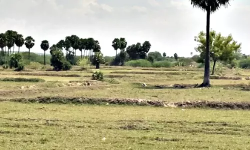 நெடுஞ்சாலை பணிக்காக மூடப்பட்ட பாசன கால்வாயால் விவசாயிகள் அவதி