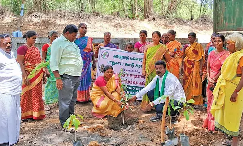 ஸ்ரீவைகுண்டம் யூனியனில் 10 ஆயிரம் மரக்கன்றுகள்  நடும் தொடக்க விழா