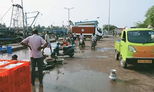 புரட்டாசி 3-வது சனிக்கிழமை கடலூர் துறைமுக மீன்பிடி தளம் வெறிச்சோடியது