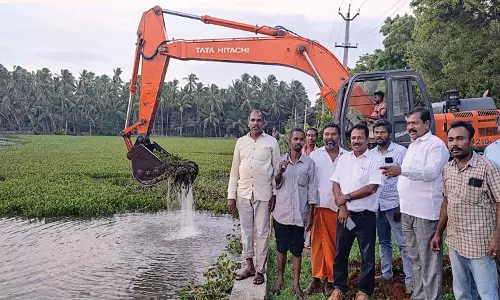 தலக்குளத்தில் ஆகாயத்தாமரைகள் அகற்றும் பணி தீவிரம்