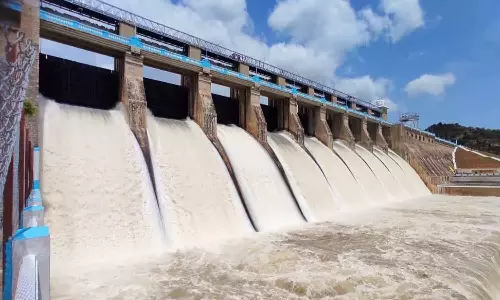 அமராவதி அணையில் இருந்து பாசனத்திற்கு தண்ணீர் திறக்க கோரிக்கை