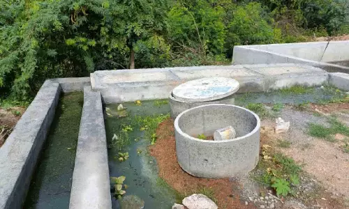 பெருமாநல்லூரில் தேங்கி நிற்கும்  கழிவுநீரால் சுகாதார சீர்கேடு