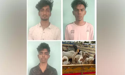 நம்பியூர் பகுதியில் ஆடுகளை திருடிய என்ஜினீயரிங் மாணவர்கள் 3 பேர் கைது