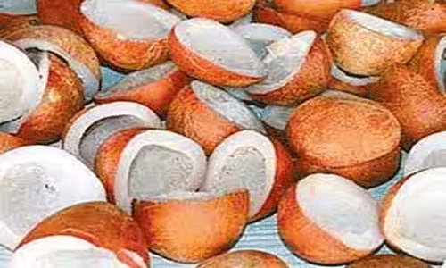 பெருந்துறையில் ரூ.1.90 கோடிக்கு கொப்பரை ஏலம்