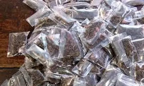 திருச்சியில் 21 கிலோ கஞ்சா பறிமுதல்