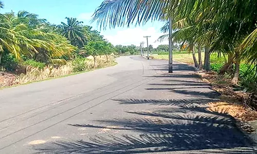 சுந்தரபாண்டியபுரம் அருகே மின்கம்பங்களை அகற்றாமலேயே அமைக்கப்பட்ட புதிய தார் சாலை