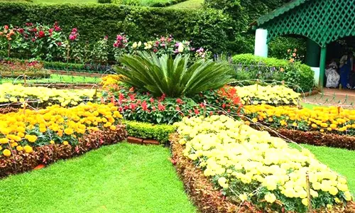 குன்னூரில் இரண்டாம் கட்ட சீசன் களைகட்டுகிறது