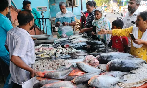 சேலம் மீன் மார்க்கெட்டுகளில்  கடல் மீன்கள் விலை கிலோவுக்கு ரூ.50 அதிகரிப்பு