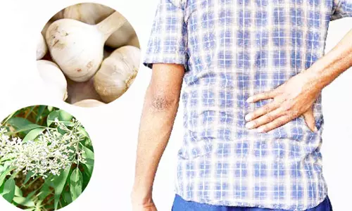 முதுமையில் முதுகுத்தண்டு வலிக்கான தீர்வுகள்