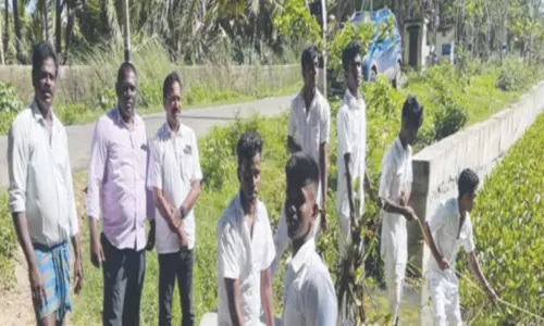 பொற்றையடி வெங்கலராஜன் கோட்டை சானலில் ஆகாயத்தாமரைகள் அகற்றும் பணி