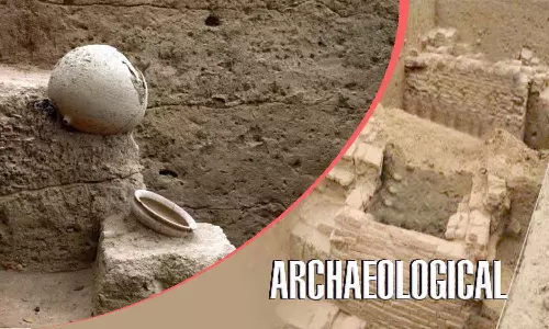 குமரிக்கல்பாளையத்தில் தொல்லியல் எச்சங்கள்  முழு ஆய்வு - அதிகாரிகள் தகவல்