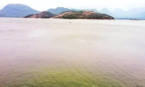 அமராவதி அணையில் இருந்து பாசனத்திற்கு 12-ந்தேதி தண்ணீர் திறப்பு