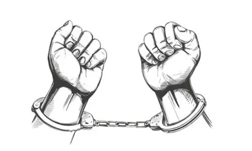 ஆடு திருடிய  கும்பல் கைது