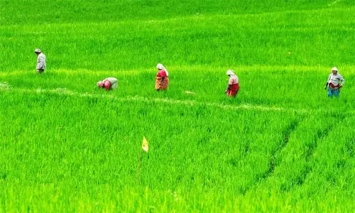 விதைகளின் தரத்தினை விவசாயிகள் பாதுகாத்துக்கொள்ளலாம்