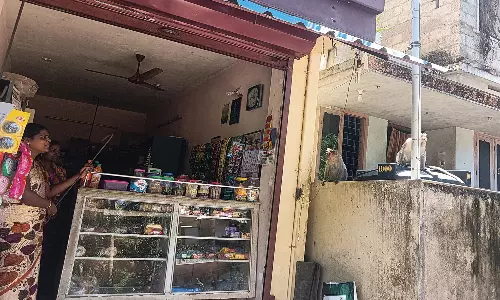 முளகுமூட்டில் வீடுகளுக்குள் புகுந்து குரங்குகள் அட்டகாசம்