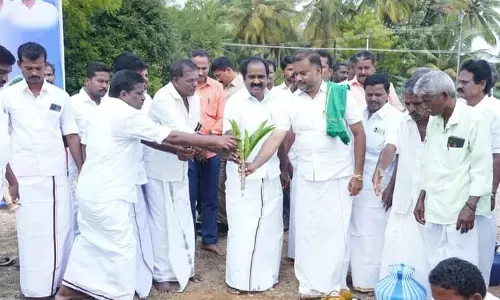 மரக்கன்று நடும் விழா