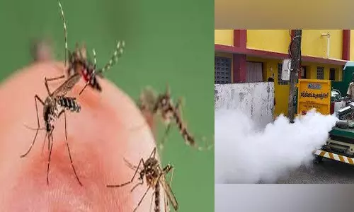 டெங்கு காய்ச்சல் பரவல்