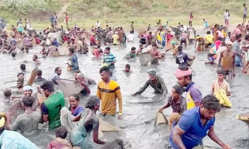 மீன்பிடி திருவிழா