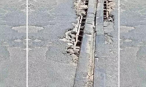 பாலத்தில் ஏற்பட்டுள்ள விரிசலை சீரமைக்க வேண்டும்