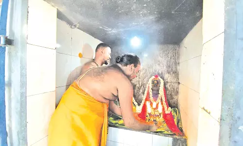 சீர்காழி நாகேஸ்வரமுடையார் கோவிலில் ராகுபெயர்ச்சி விழா