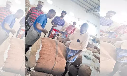 பாபநாசம் ஒழுங்குமுறை விற்பனை கூடத்தில் பருத்தி ஏலம்