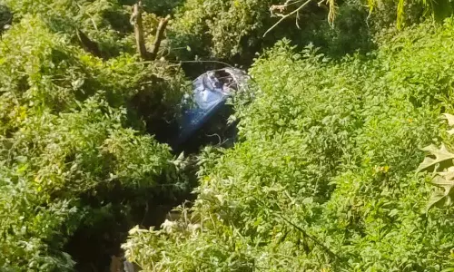 குன்னூர் அருகே 90 அடி பள்ளத்தில் கார் கவிழ்ந்து விபத்து-சிறுமி உள்பட 2 பேர் காயம்