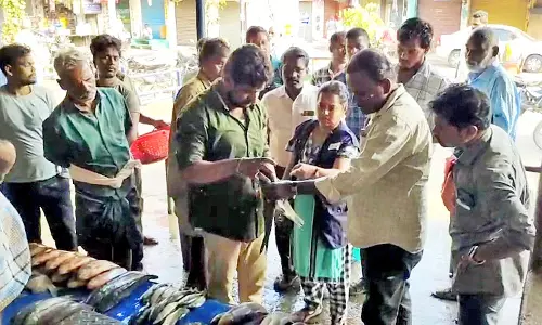 போடியில் விற்பனைக்கு வைத்திருந்த கெட்டுப்போன மீன்கள் பறிமுதல் - கடைகளுக்கு அபராதம்