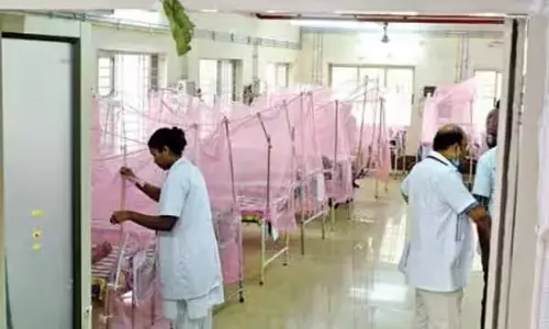 டெங்கு காய்ச்சல் பாதித்த 47 பேருக்கு தொடர்ந்து சிகிச்சை