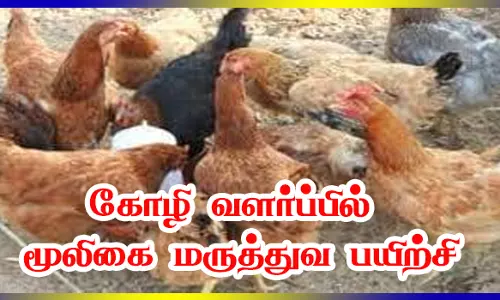 கோழி வளர்ப்பில் மூலிகை மருத்துவத்தின் பயன்பாடு விளக்க பயிற்சி