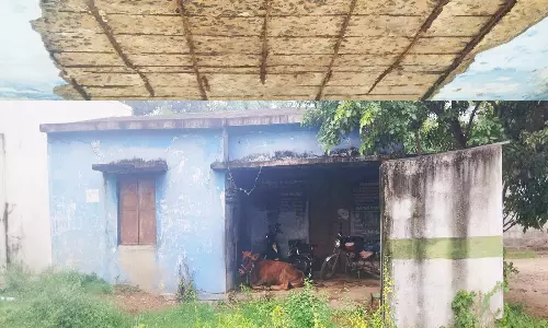 மாட்டுத் தொழுவமாக மாறிய ரேசன் கடை