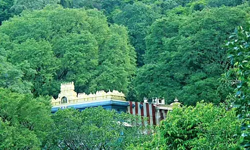 களக்காடு நம்பி கோவிலுக்கு செல்ல இன்று தடை-வனத்துறை அறிவிப்பு