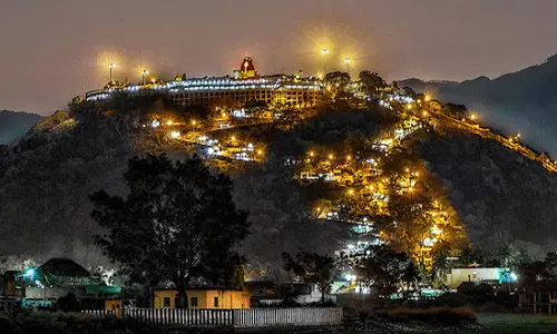 நவராத்திரி விழாவை முன்னிட்டு பழனியில் 15-ம் தேதி முதல் 9 நாட்களுக்கு தங்க ரத புறப்பாடு ரத்து