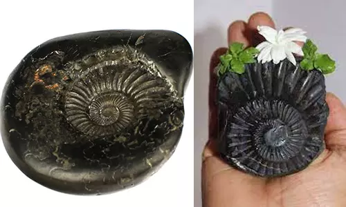 மகாவிஷ்ணு உருவாக்கும் சாளகிராம கற்கள்