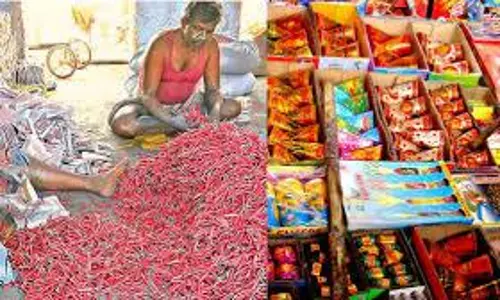 பட்டாசு தயாரிப்பு, கடைகளை கண்காணிக்க தனிக்குழு