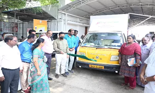 விவசாயிகள் பாமாயில் மர சாகுபடி செய்து பயன்பெறலாம்:மாவட்ட கலெக்டர் தகவல்